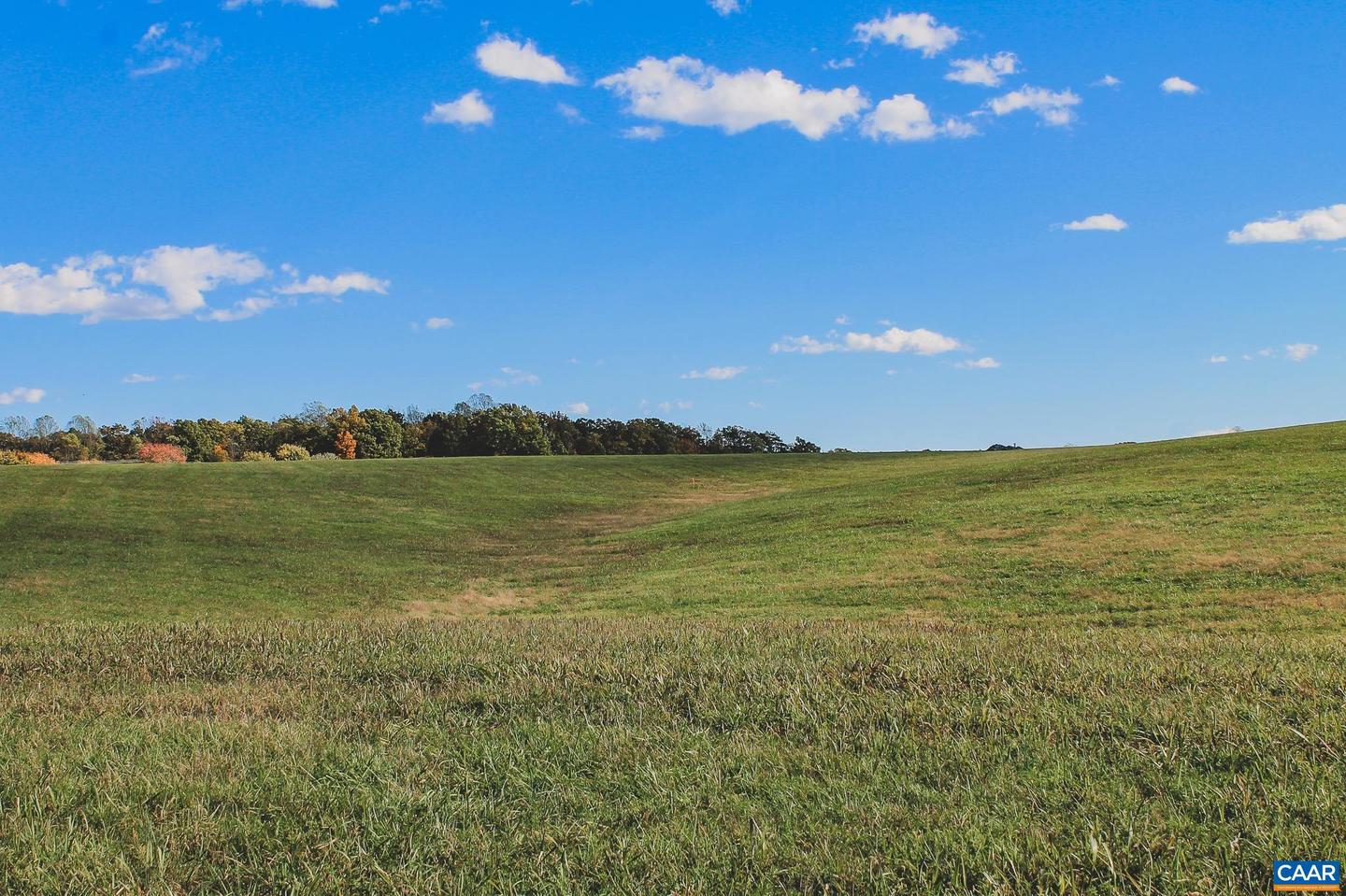 LOT 20 ROLLING RD S, SCOTTSVILLE, Virginia 24590, ,Land,For Sale,LOT 20 ROLLING RD S,671175 MLS # 671175