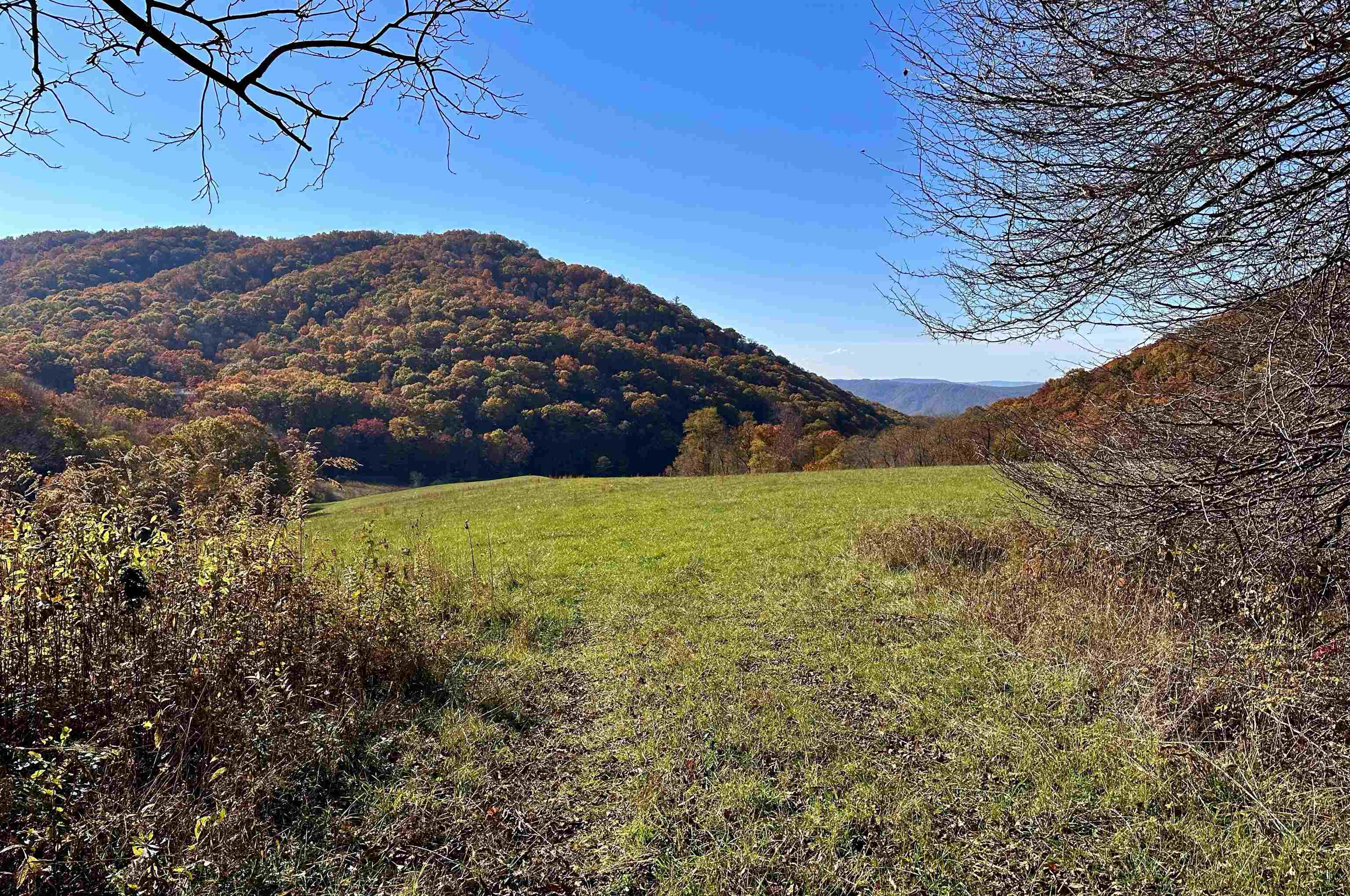 tbd SAM SNEAD HWY, WARM SPRINGS, Virginia 24484, ,Land,14,tbd SAM SNEAD HWY,671177 MLS # 671177