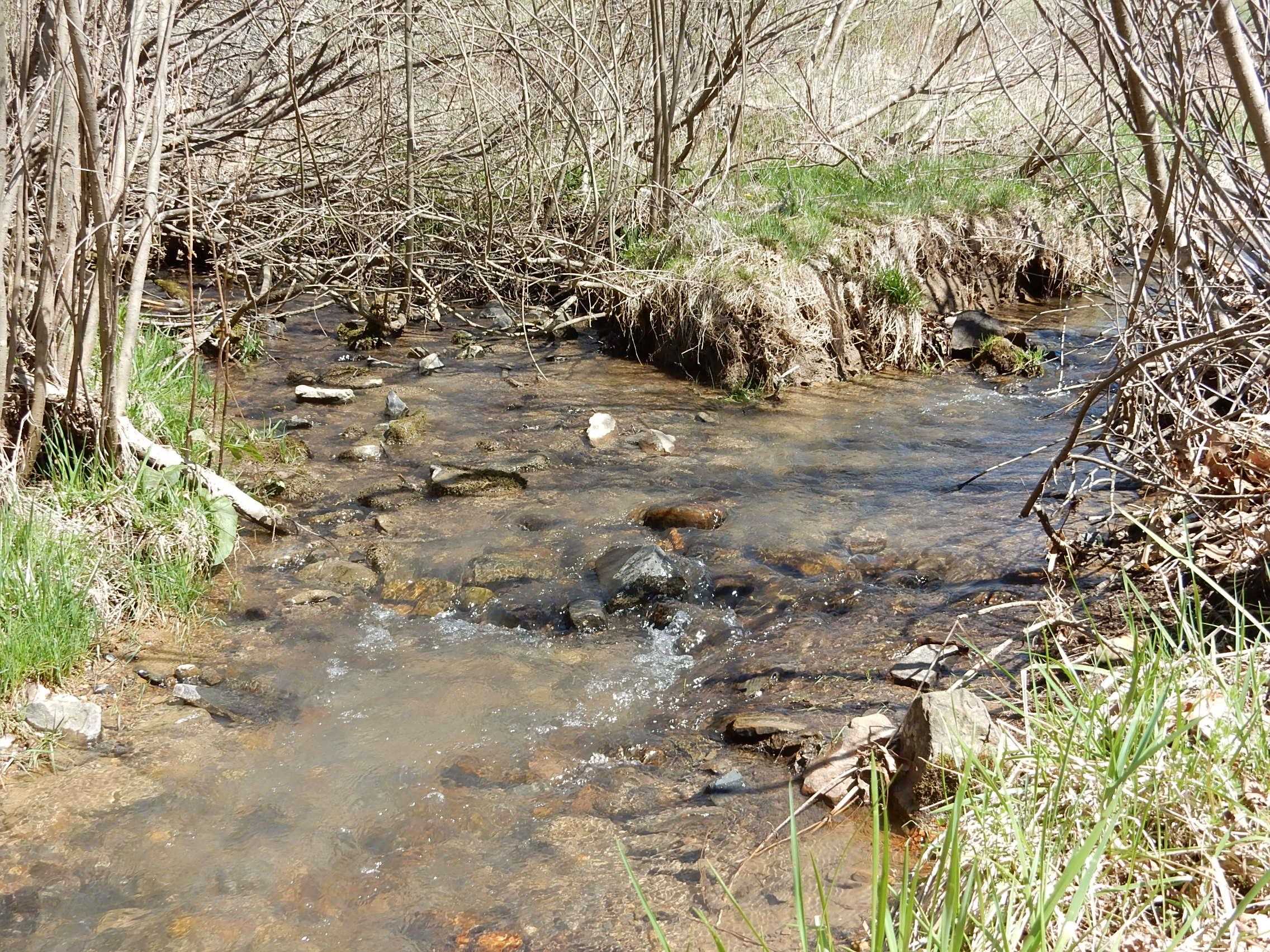 tbd SAM SNEAD HWY, WARM SPRINGS, Virginia 24484, ,Land,14,tbd SAM SNEAD HWY,671177 MLS # 671177