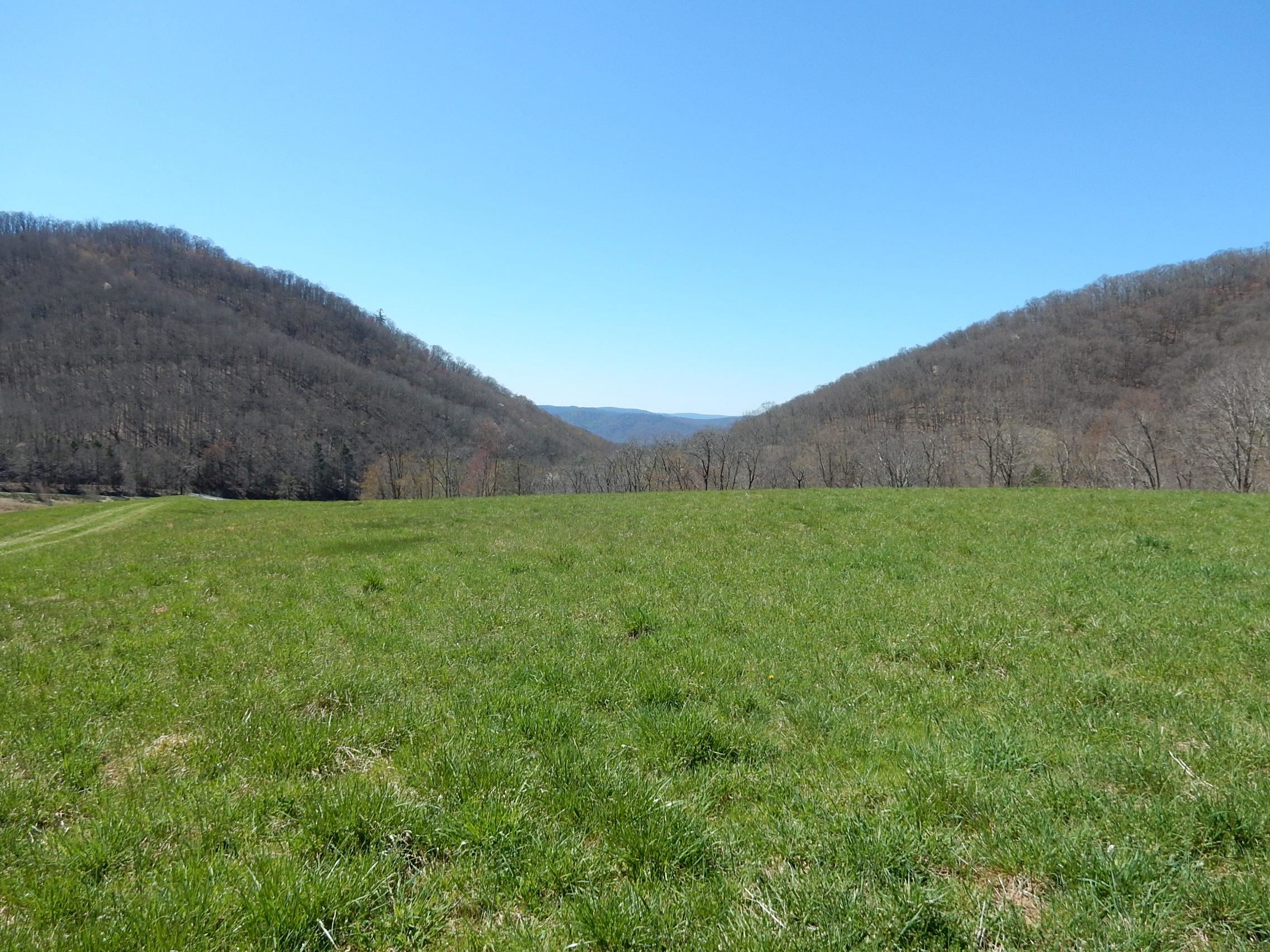 tbd SAM SNEAD HWY, WARM SPRINGS, Virginia 24484, ,Land,14,tbd SAM SNEAD HWY,671177 MLS # 671177