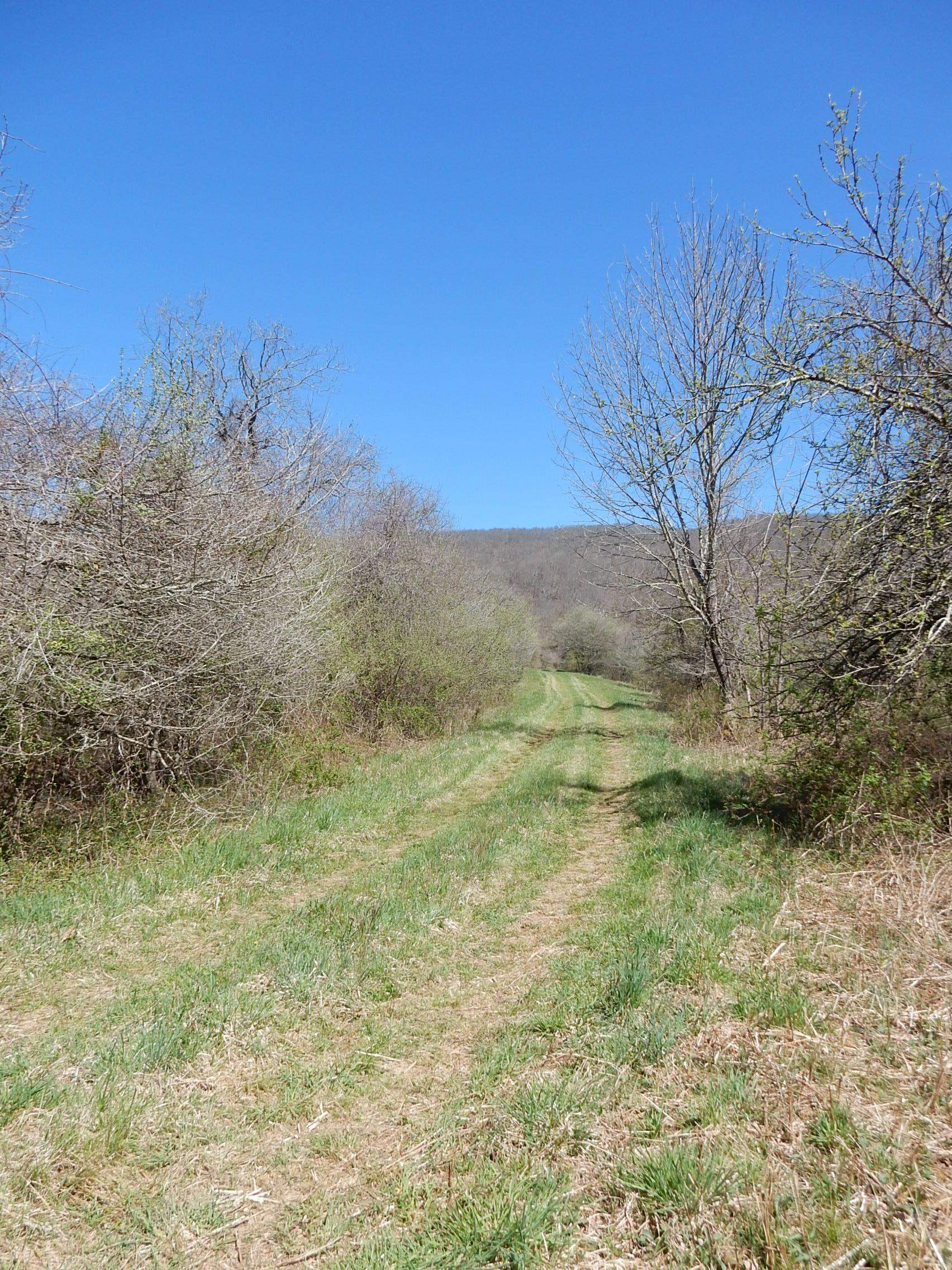tbd SAM SNEAD HWY, WARM SPRINGS, Virginia 24484, ,Land,14,tbd SAM SNEAD HWY,671177 MLS # 671177