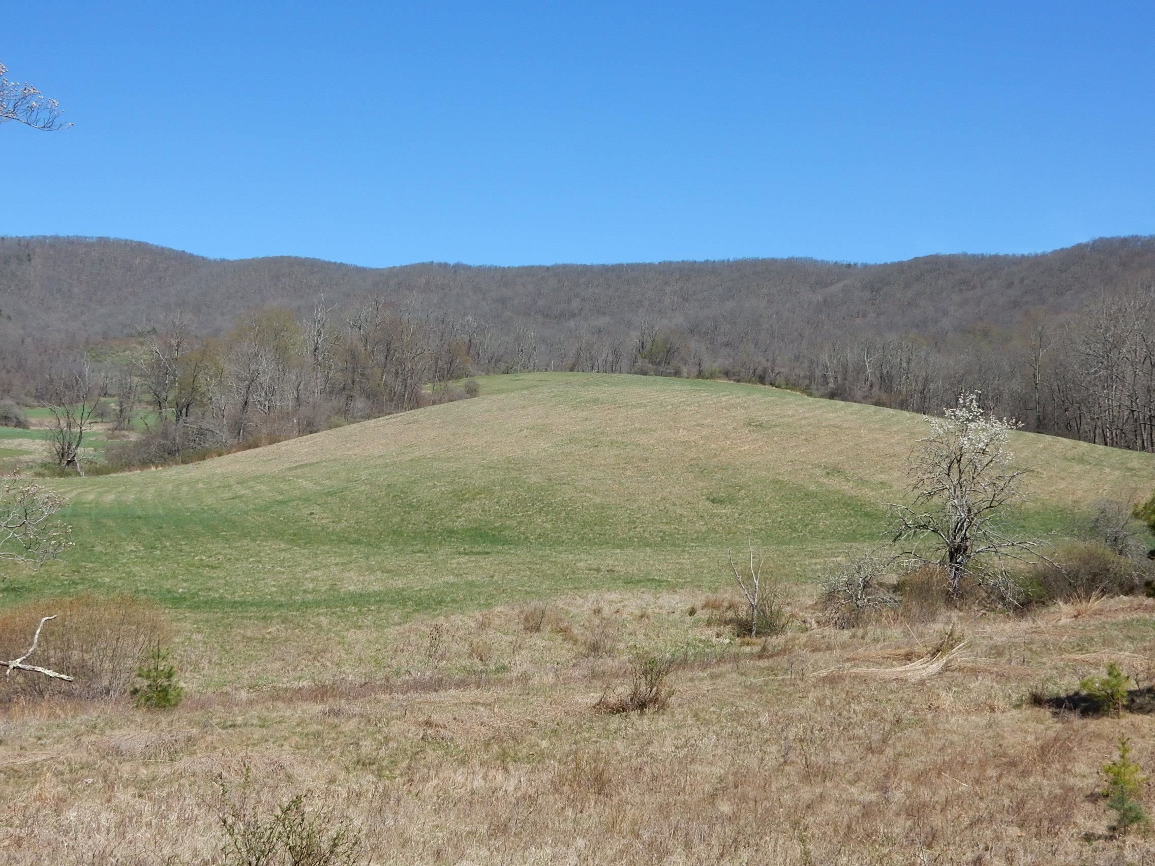 tbd SAM SNEAD HWY, WARM SPRINGS, Virginia 24484, ,Land,14,tbd SAM SNEAD HWY,671177 MLS # 671177