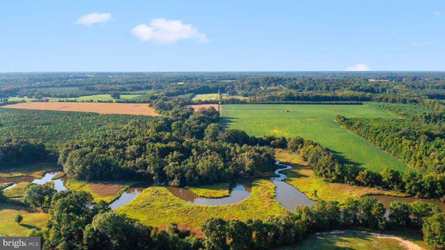 0 MOUNT PLEASANT, HAGUE, Virginia 22469, ,Farm,For Sale,0 MOUNT PLEASANT,VAWE2005130 MLS # VAWE2005130