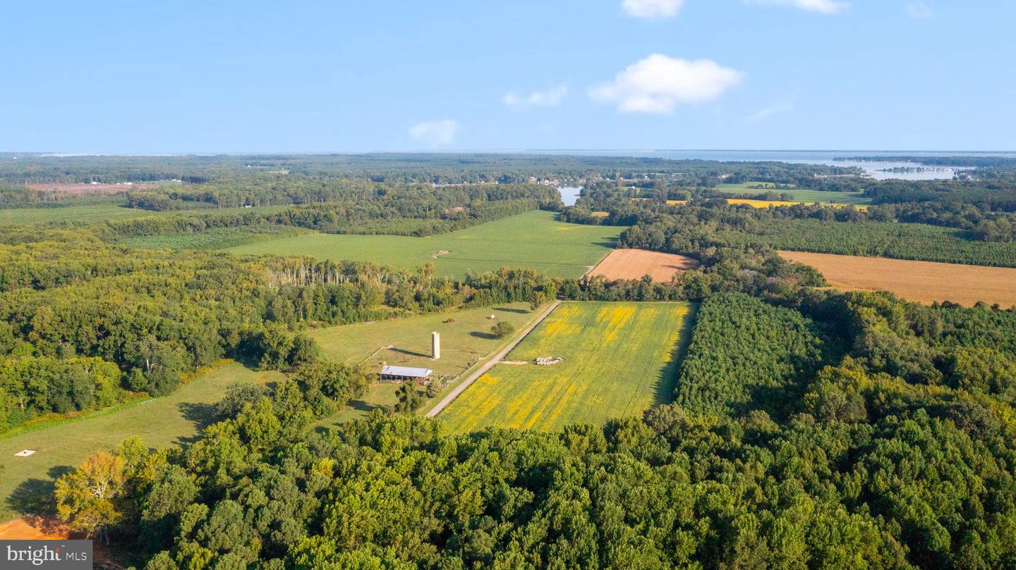 0 MOUNT PLEASANT, HAGUE, Virginia 22469, ,Farm,For Sale,0 MOUNT PLEASANT,VAWE2005130 MLS # VAWE2005130