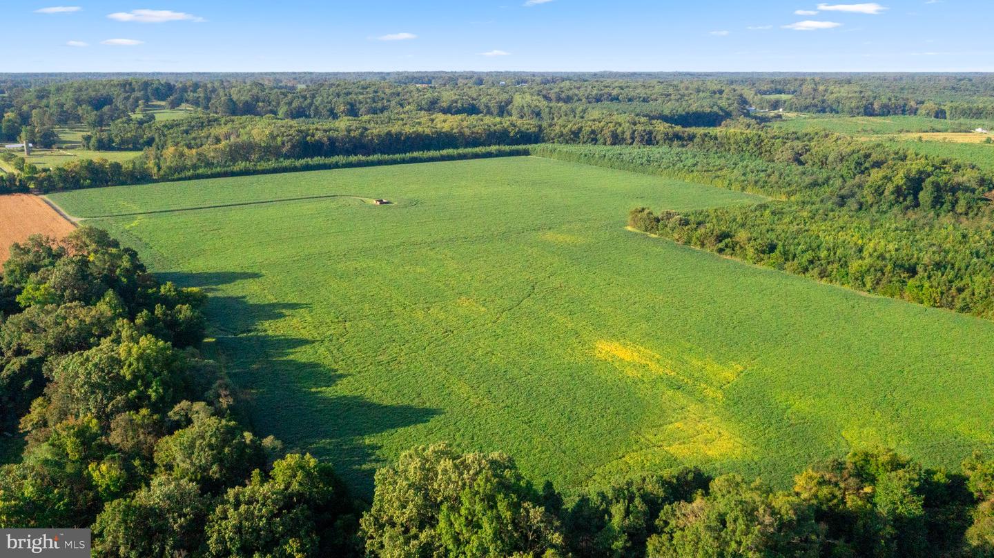 0 MOUNT PLEASANT, HAGUE, Virginia 22469, ,Farm,For Sale,0 MOUNT PLEASANT,VAWE2005130 MLS # VAWE2005130