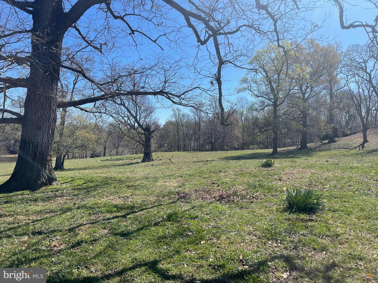 0 MOUNT PLEASANT, HAGUE, Virginia 22469, ,Farm,For Sale,0 MOUNT PLEASANT,VAWE2005130 MLS # VAWE2005130