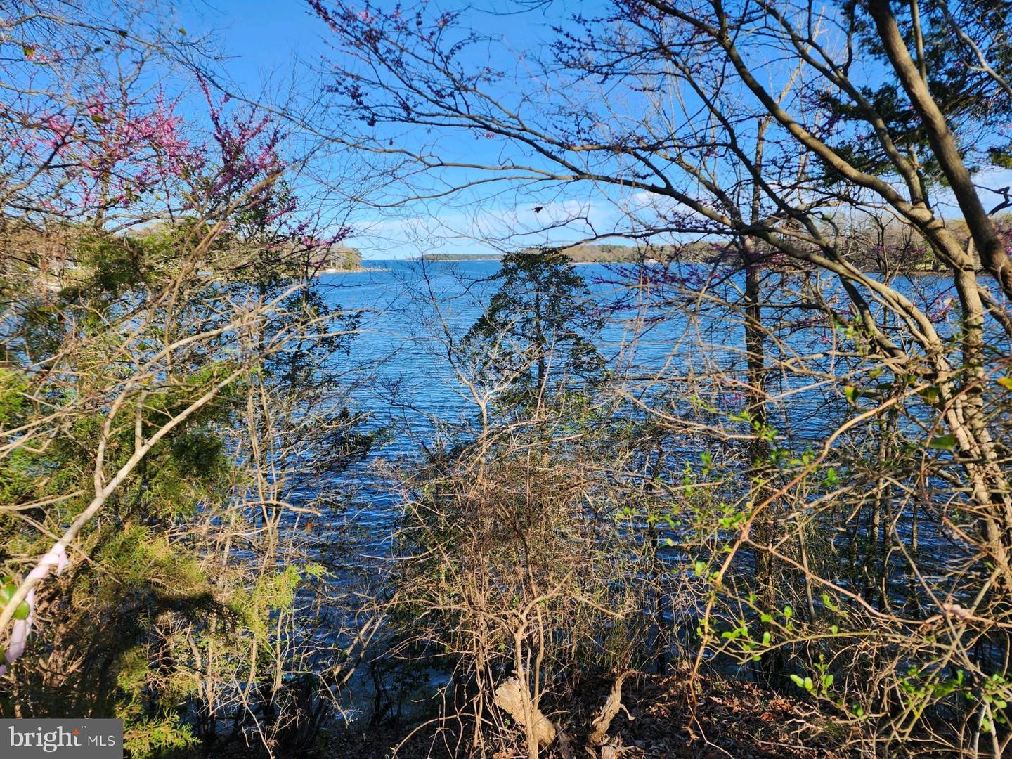 0 MOUNT PLEASANT, HAGUE, Virginia 22469, ,Farm,For Sale,0 MOUNT PLEASANT,VAWE2005130 MLS # VAWE2005130