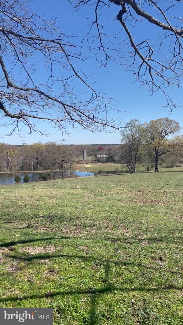 0 MOUNT PLEASANT, HAGUE, Virginia 22469, ,Farm,For Sale,0 MOUNT PLEASANT,VAWE2005130 MLS # VAWE2005130