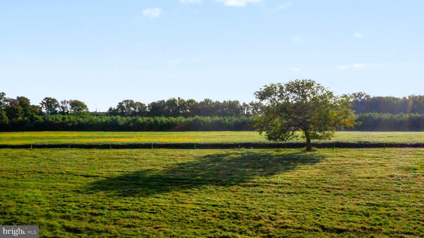 0 MOUNT PLEASANT, HAGUE, Virginia 22469, ,Farm,For Sale,0 MOUNT PLEASANT,VAWE2005130 MLS # VAWE2005130