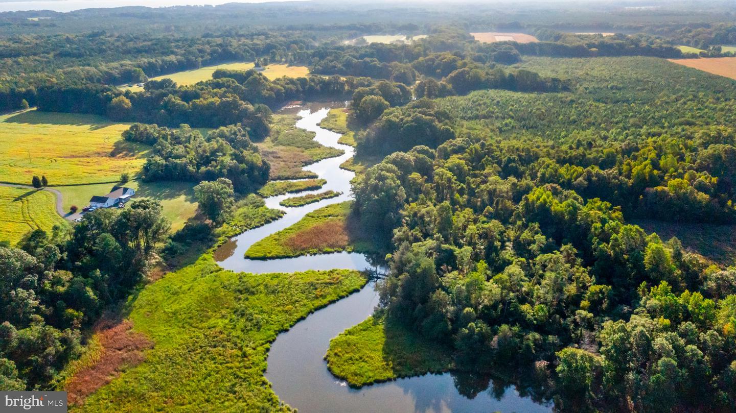 0 MOUNT PLEASANT, HAGUE, Virginia 22469, ,Farm,For Sale,0 MOUNT PLEASANT,VAWE2005130 MLS # VAWE2005130