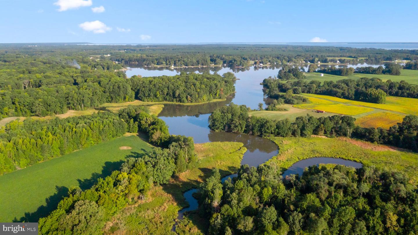 0 MOUNT PLEASANT, HAGUE, Virginia 22469, ,Farm,For Sale,0 MOUNT PLEASANT,VAWE2005130 MLS # VAWE2005130