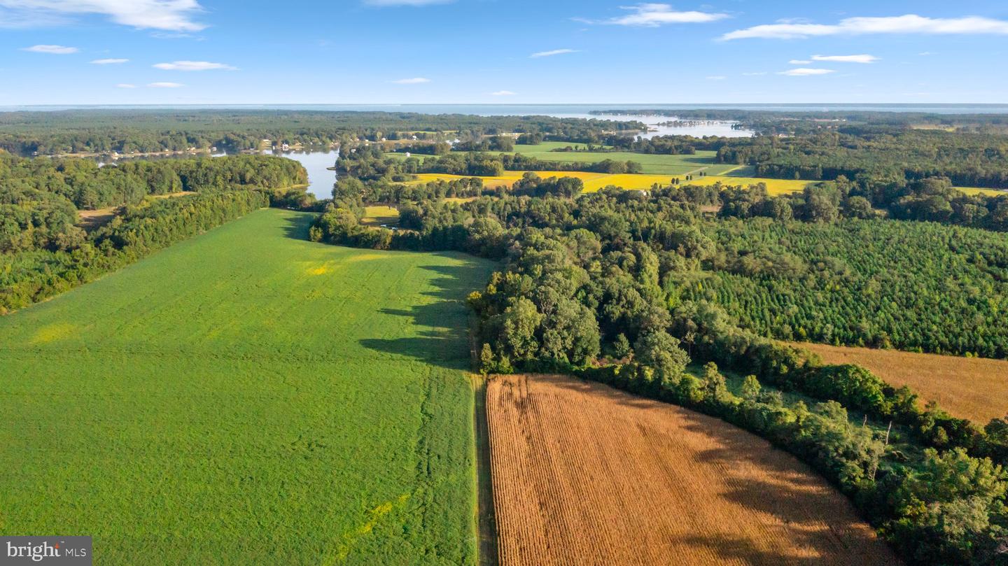 0 MOUNT PLEASANT, HAGUE, Virginia 22469, ,Farm,For Sale,0 MOUNT PLEASANT,VAWE2005130 MLS # VAWE2005130