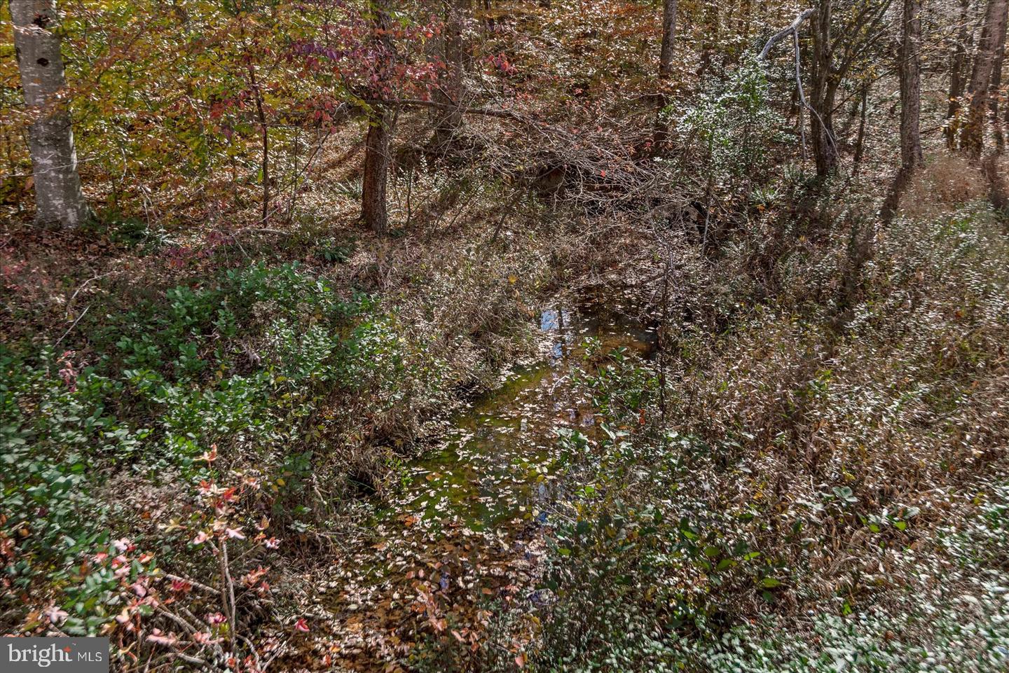 316 COPPER LINE RD, BUMPASS, Virginia 23024, 4 Bedrooms Bedrooms, 9 Rooms Rooms,2 BathroomsBathrooms,Residential,For Sale,316 COPPER LINE RD,VALA2008830 MLS # VALA2008830