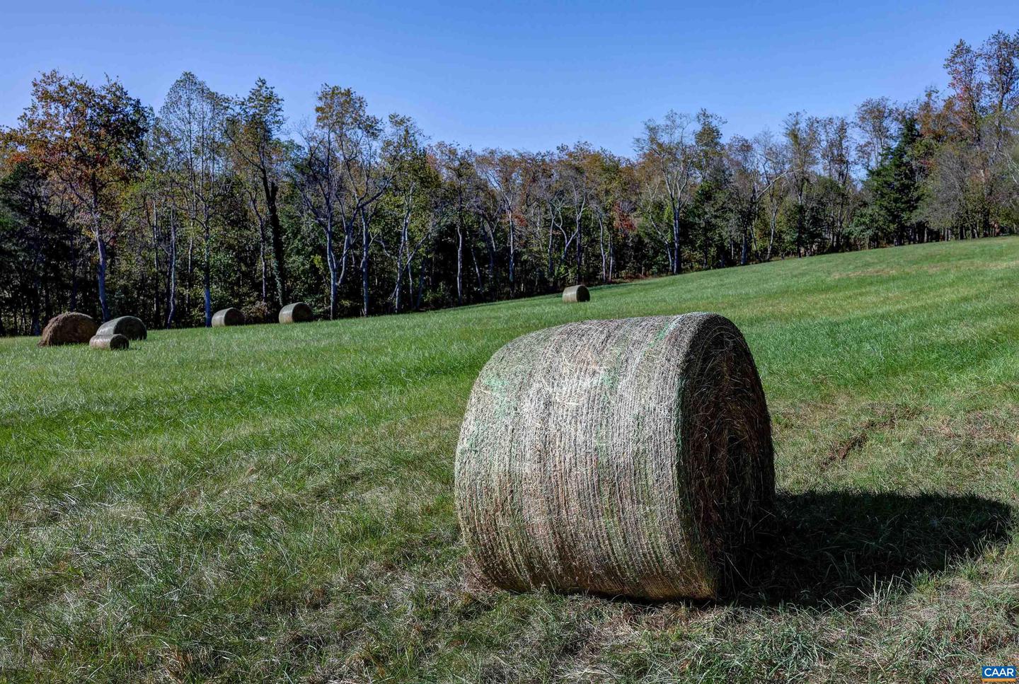 4710 DICKERSON RD, CHARLOTTESVILLE, Virginia 22911, 4 Bedrooms Bedrooms, ,3 BathroomsBathrooms,Residential,For Sale,4710 DICKERSON RD,671230 MLS # 671230 4710 DICKERSON RD, CHARLOTTESVILLE, Virginia 22911, 4 Bedrooms Bedrooms, ,3 BathroomsBathrooms,Residential,For Sale,4710 DICKERSON RD,671230 MLS # 671230