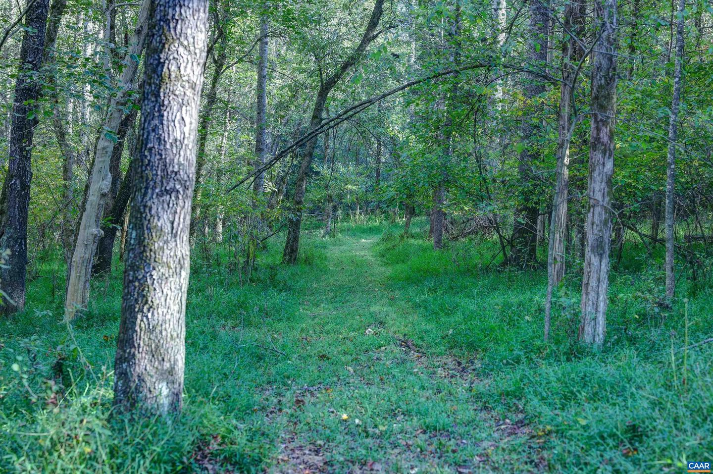 4710 DICKERSON RD, CHARLOTTESVILLE, Virginia 22911, 4 Bedrooms Bedrooms, ,3 BathroomsBathrooms,Residential,For Sale,4710 DICKERSON RD,671230 MLS # 671230 4710 DICKERSON RD, CHARLOTTESVILLE, Virginia 22911, 4 Bedrooms Bedrooms, ,3 BathroomsBathrooms,Residential,For Sale,4710 DICKERSON RD,671230 MLS # 671230