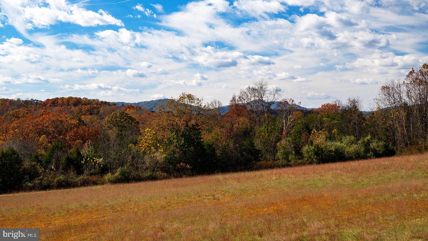 273 AIRSPORTS DR, AMHERST, Virginia 24521, ,1 BathroomBathrooms,Farm,For Sale,273 AIRSPORTS DR,VAAH2000086 MLS # VAAH2000086 273 AIRSPORTS DR, AMHERST, Virginia 24521, ,1 BathroomBathrooms,Farm,For Sale,273 AIRSPORTS DR,VAAH2000086 MLS # VAAH2000086