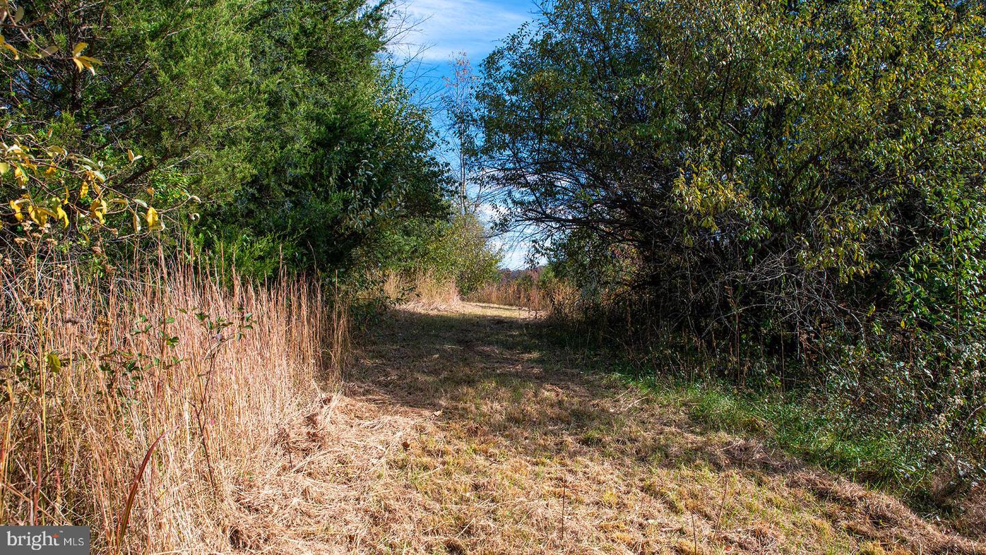 273 AIRSPORTS DR, AMHERST, Virginia 24521, ,1 BathroomBathrooms,Farm,For Sale,273 AIRSPORTS DR,VAAH2000086 MLS # VAAH2000086 273 AIRSPORTS DR, AMHERST, Virginia 24521, ,1 BathroomBathrooms,Farm,For Sale,273 AIRSPORTS DR,VAAH2000086 MLS # VAAH2000086