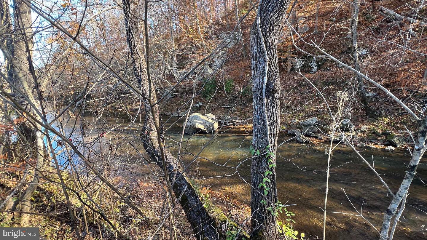 273 AIRSPORTS DR, AMHERST, Virginia 24521, ,1 BathroomBathrooms,Farm,For Sale,273 AIRSPORTS DR,VAAH2000086 MLS # VAAH2000086 273 AIRSPORTS DR, AMHERST, Virginia 24521, ,1 BathroomBathrooms,Farm,For Sale,273 AIRSPORTS DR,VAAH2000086 MLS # VAAH2000086