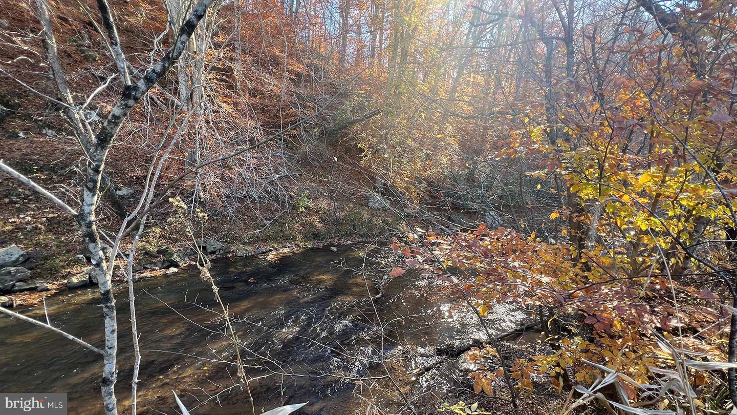 273 AIRSPORTS DR, AMHERST, Virginia 24521, ,1 BathroomBathrooms,Farm,For Sale,273 AIRSPORTS DR,VAAH2000086 MLS # VAAH2000086 273 AIRSPORTS DR, AMHERST, Virginia 24521, ,1 BathroomBathrooms,Farm,For Sale,273 AIRSPORTS DR,VAAH2000086 MLS # VAAH2000086