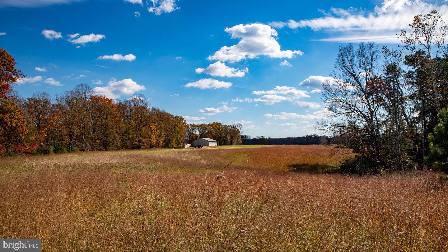 273 AIRSPORTS DR, AMHERST, Virginia 24521, ,1 BathroomBathrooms,Farm,For Sale,273 AIRSPORTS DR,VAAH2000086 MLS # VAAH2000086 273 AIRSPORTS DR, AMHERST, Virginia 24521, ,1 BathroomBathrooms,Farm,For Sale,273 AIRSPORTS DR,VAAH2000086 MLS # VAAH2000086