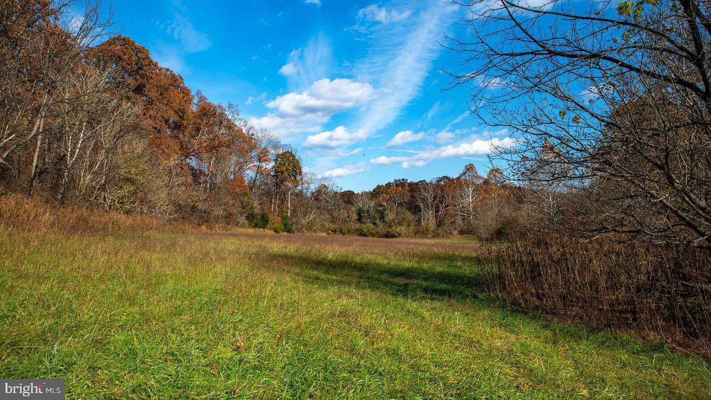 273 AIRSPORTS DR, AMHERST, Virginia 24521, ,1 BathroomBathrooms,Farm,For Sale,273 AIRSPORTS DR,VAAH2000086 MLS # VAAH2000086 273 AIRSPORTS DR, AMHERST, Virginia 24521, ,1 BathroomBathrooms,Farm,For Sale,273 AIRSPORTS DR,VAAH2000086 MLS # VAAH2000086