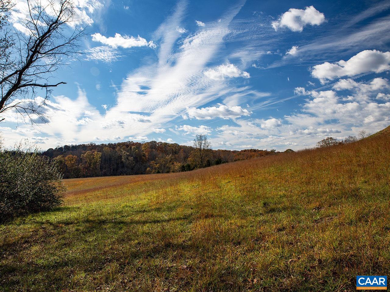 273 AIRSPORTS DR, AMHERST, Virginia 24521, ,Farm,For Sale,273 AIRSPORTS DR,671268 MLS # 671268 273 AIRSPORTS DR, AMHERST, Virginia 24521, ,Farm,For Sale,273 AIRSPORTS DR,671268 MLS # 671268