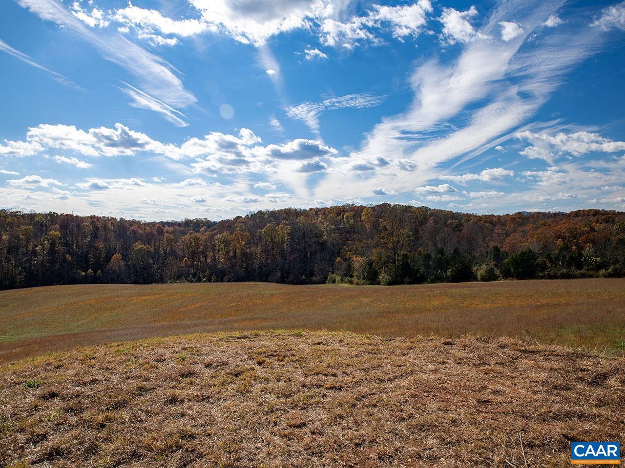 273 AIRSPORTS DR, AMHERST, Virginia 24521, ,Farm,For Sale,273 AIRSPORTS DR,671268 MLS # 671268 273 AIRSPORTS DR, AMHERST, Virginia 24521, ,Farm,For Sale,273 AIRSPORTS DR,671268 MLS # 671268