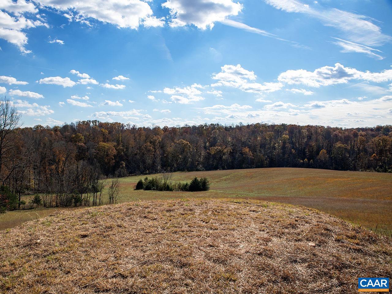 273 AIRSPORTS DR, AMHERST, Virginia 24521, ,Farm,For Sale,273 AIRSPORTS DR,671268 MLS # 671268 273 AIRSPORTS DR, AMHERST, Virginia 24521, ,Farm,For Sale,273 AIRSPORTS DR,671268 MLS # 671268