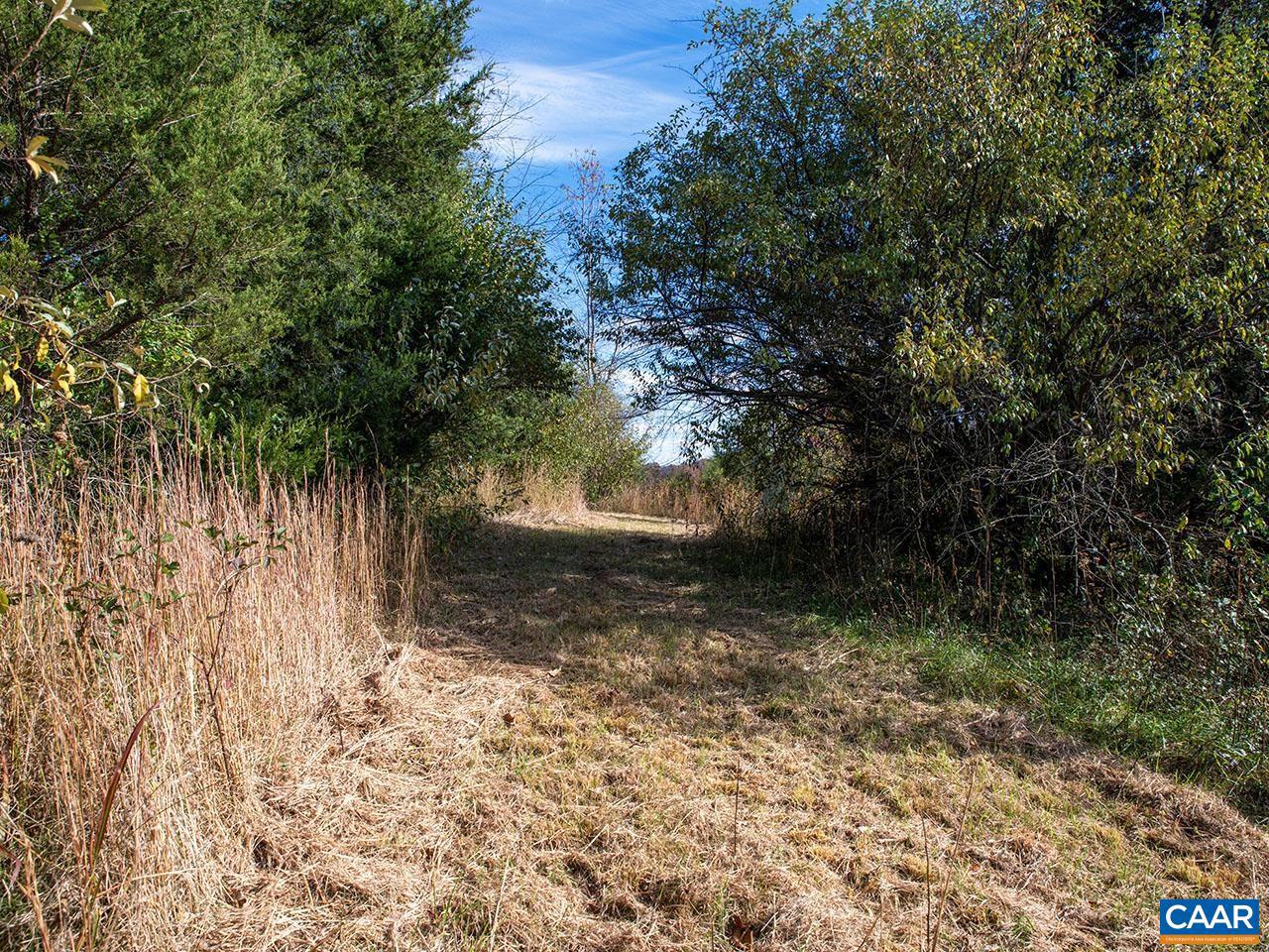 273 AIRSPORTS DR, AMHERST, Virginia 24521, ,Farm,For Sale,273 AIRSPORTS DR,671268 MLS # 671268 273 AIRSPORTS DR, AMHERST, Virginia 24521, ,Farm,For Sale,273 AIRSPORTS DR,671268 MLS # 671268