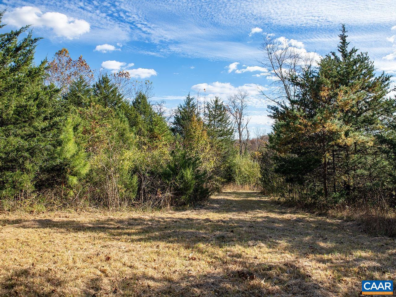 273 AIRSPORTS DR, AMHERST, Virginia 24521, ,Farm,For Sale,273 AIRSPORTS DR,671268 MLS # 671268 273 AIRSPORTS DR, AMHERST, Virginia 24521, ,Farm,For Sale,273 AIRSPORTS DR,671268 MLS # 671268