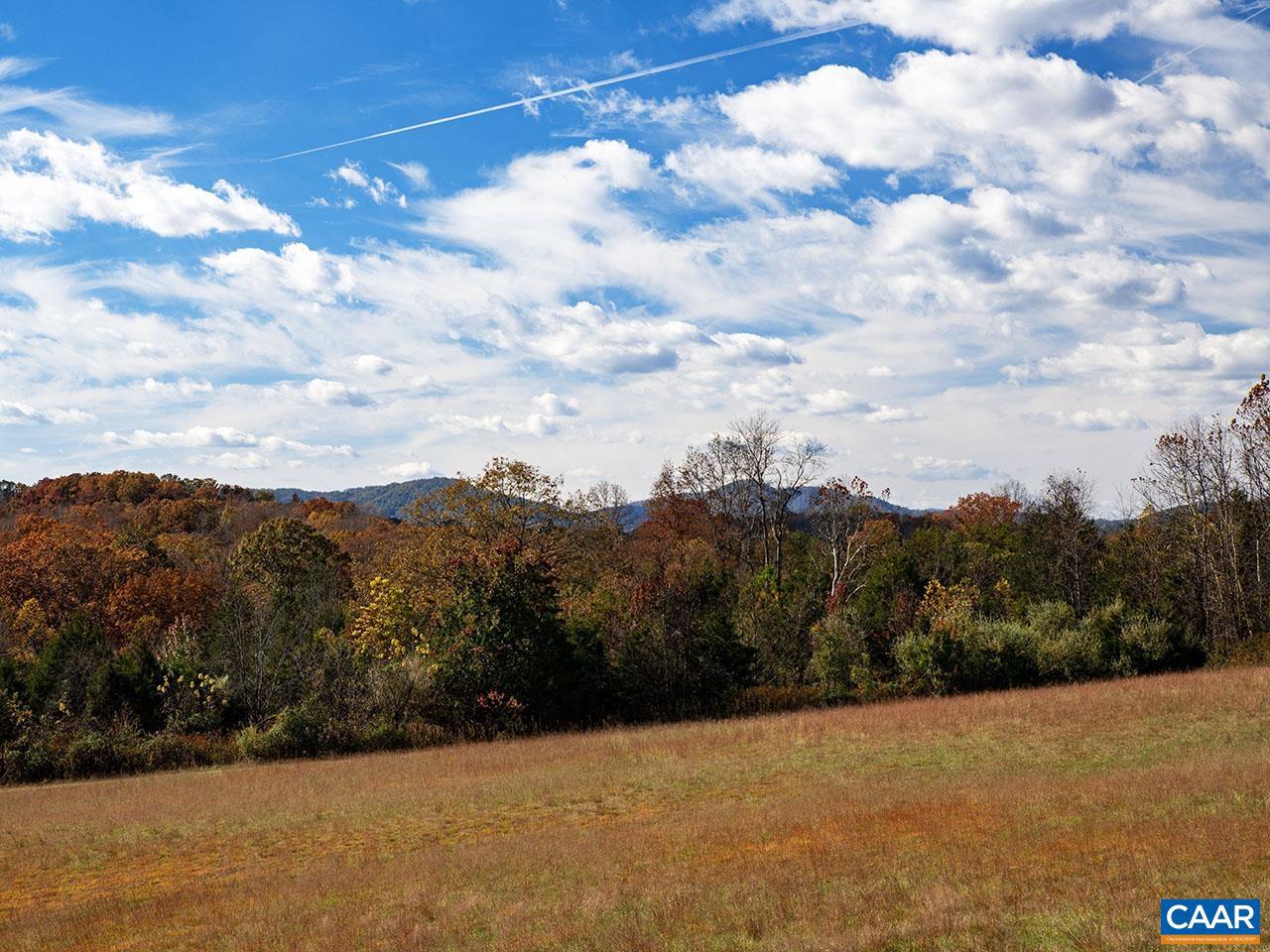 273 AIRSPORTS DR, AMHERST, Virginia 24521, ,Farm,For Sale,273 AIRSPORTS DR,671268 MLS # 671268 273 AIRSPORTS DR, AMHERST, Virginia 24521, ,Farm,For Sale,273 AIRSPORTS DR,671268 MLS # 671268