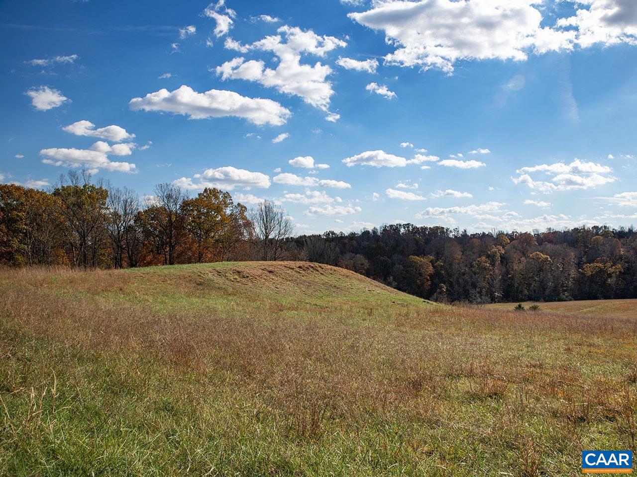 273 AIRSPORTS DR, AMHERST, Virginia 24521, ,Farm,For Sale,273 AIRSPORTS DR,671268 MLS # 671268 273 AIRSPORTS DR, AMHERST, Virginia 24521, ,Farm,For Sale,273 AIRSPORTS DR,671268 MLS # 671268