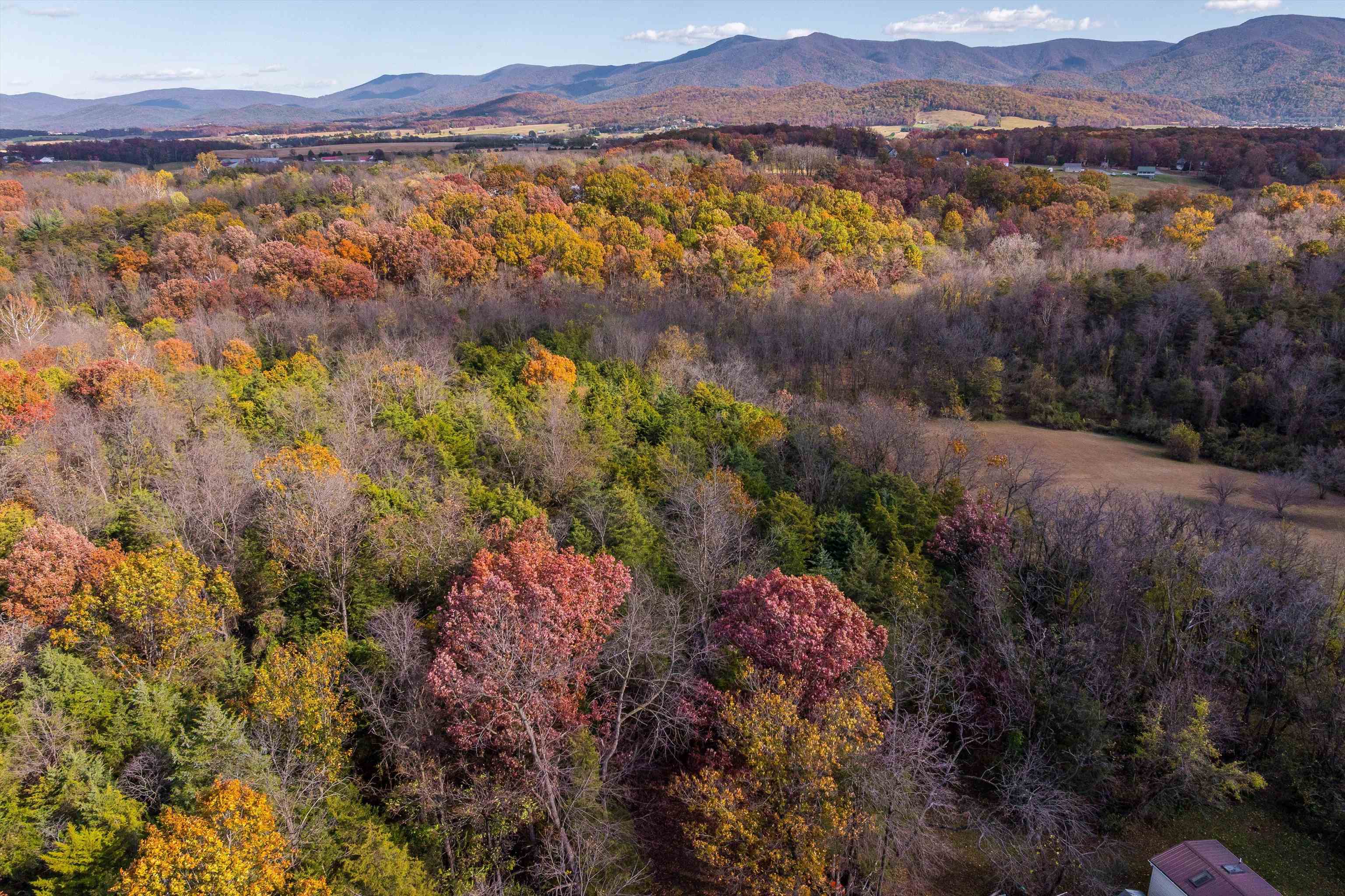 326 &amp; 328 RUNNING PINE RD, LURAY, Virginia 22835, ,Residential,14,326 &amp; 328 RUNNING PINE RD,671279 MLS # 671279