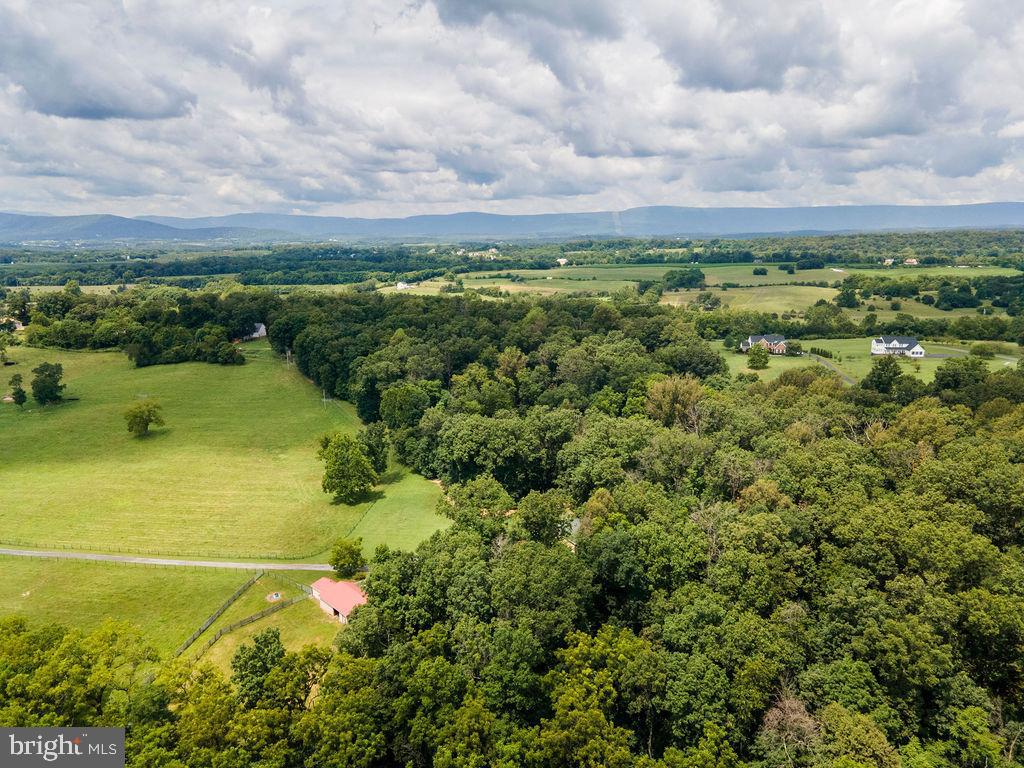 1115 CHAPEL RD, MIDDLETOWN, Virginia 22645, 3 Bedrooms Bedrooms, ,2 BathroomsBathrooms,Farm,For Sale,1115 CHAPEL RD,VAFV2038158 MLS # VAFV2038158 1115 CHAPEL RD, MIDDLETOWN, Virginia 22645, 3 Bedrooms Bedrooms, ,2 BathroomsBathrooms,Farm,For Sale,1115 CHAPEL RD,VAFV2038158 MLS # VAFV2038158