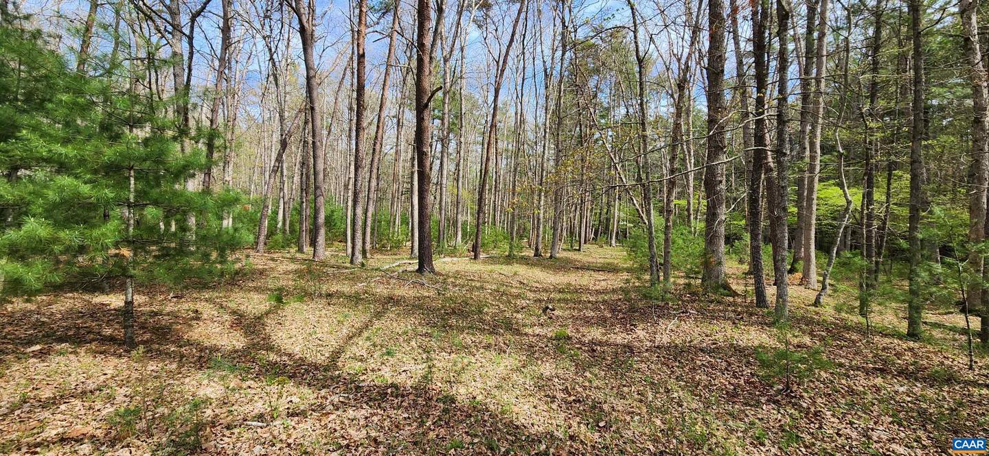 162 TIMS DRAFT LN, WEST AUGUSTA, Virginia 24485, 5 Bedrooms Bedrooms, ,1 BathroomBathrooms,Farm,For Sale,162 TIMS DRAFT LN,671332 MLS # 671332