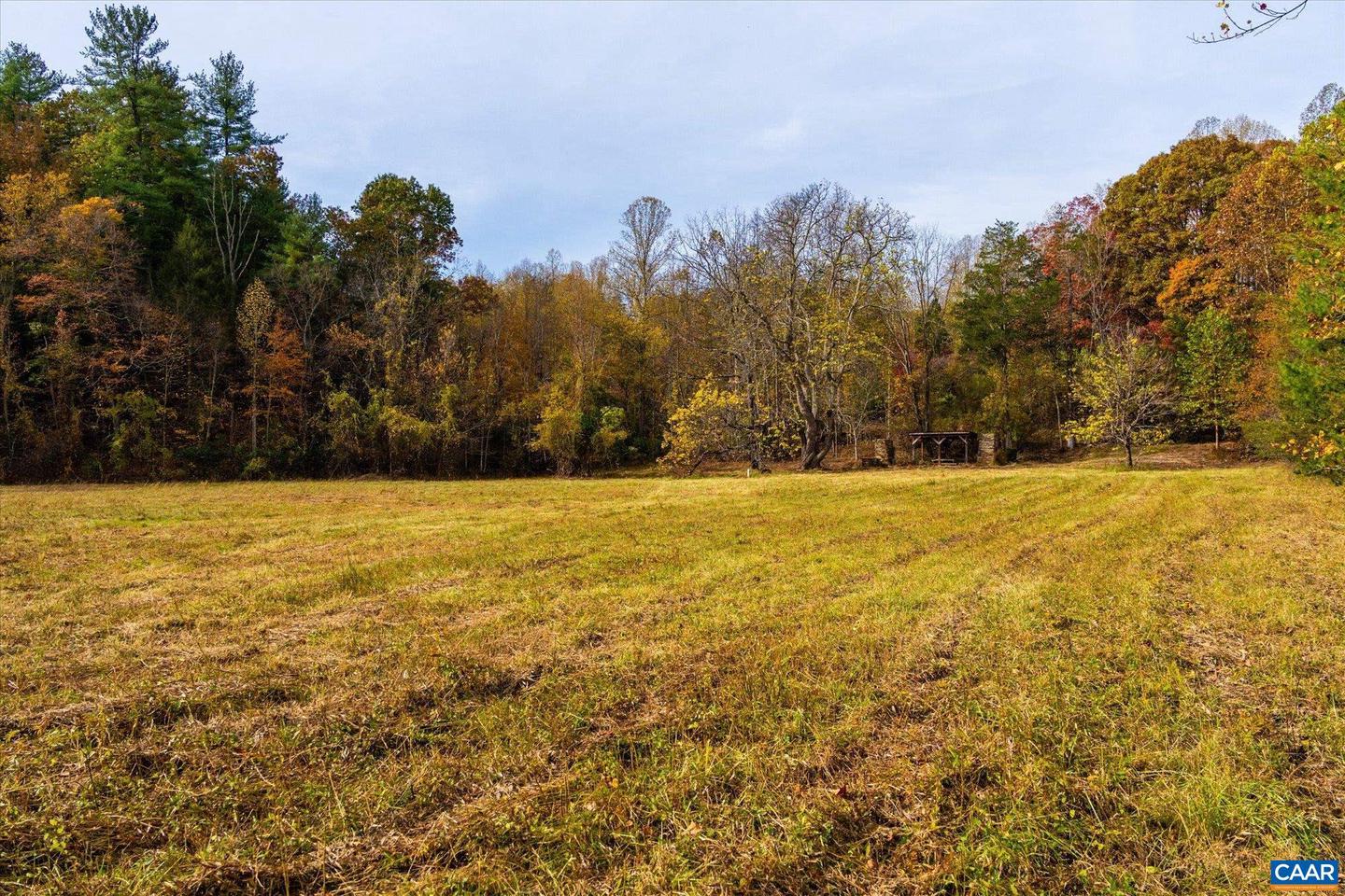 6424 FREE UNION RD, FREE UNION, Virginia 22940, ,Land,For Sale,6424 FREE UNION RD,671320 MLS # 671320