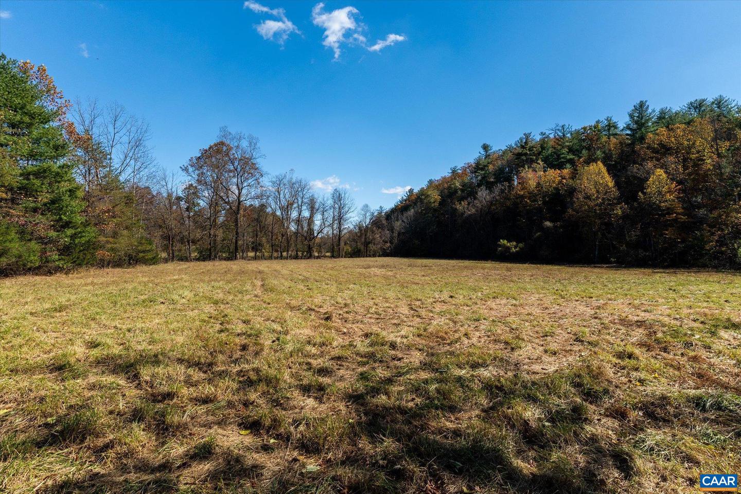 6424 FREE UNION RD, FREE UNION, Virginia 22940, ,Land,For Sale,6424 FREE UNION RD,671320 MLS # 671320