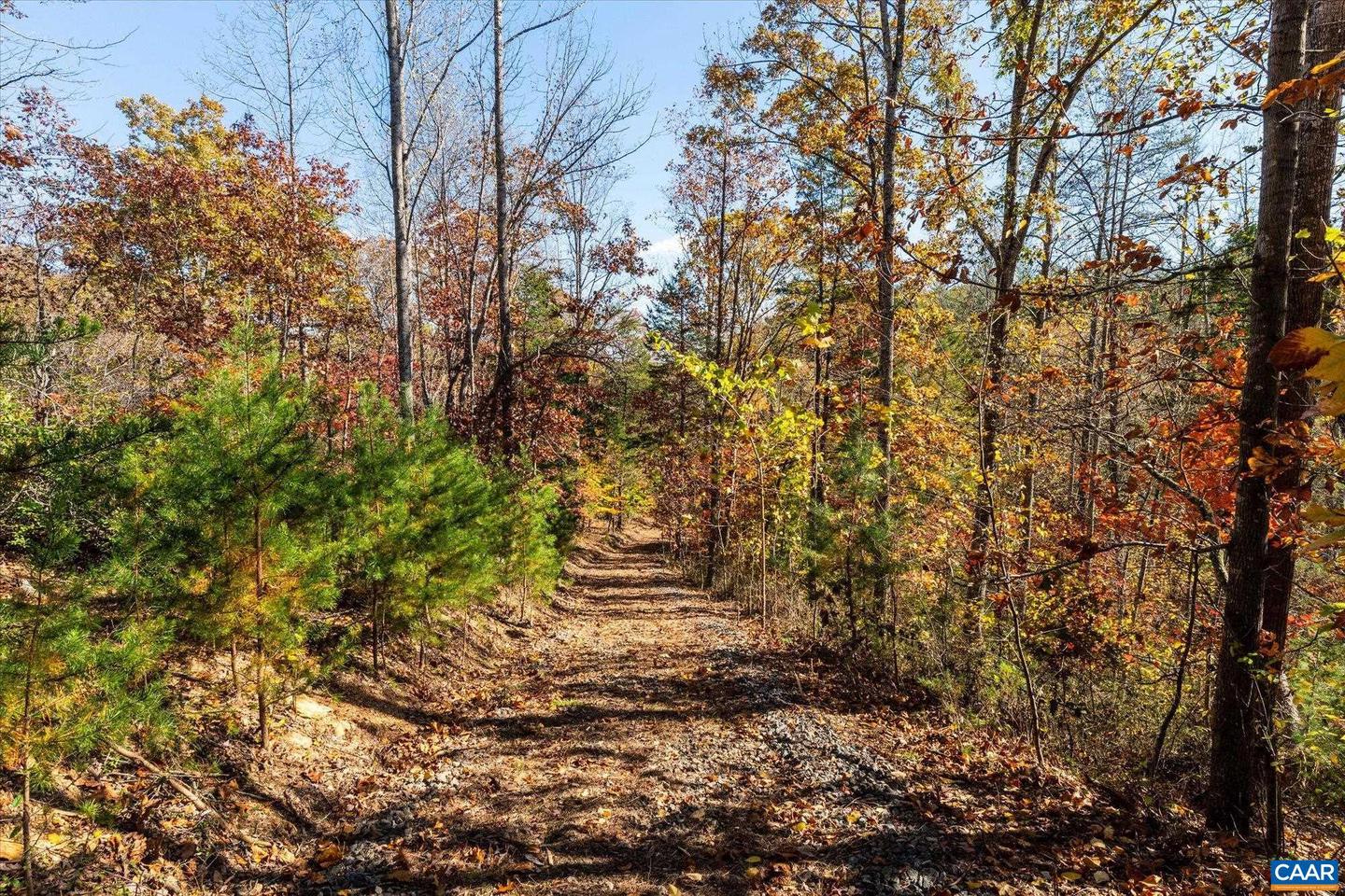 6424 FREE UNION RD, FREE UNION, Virginia 22940, ,Land,For Sale,6424 FREE UNION RD,671320 MLS # 671320