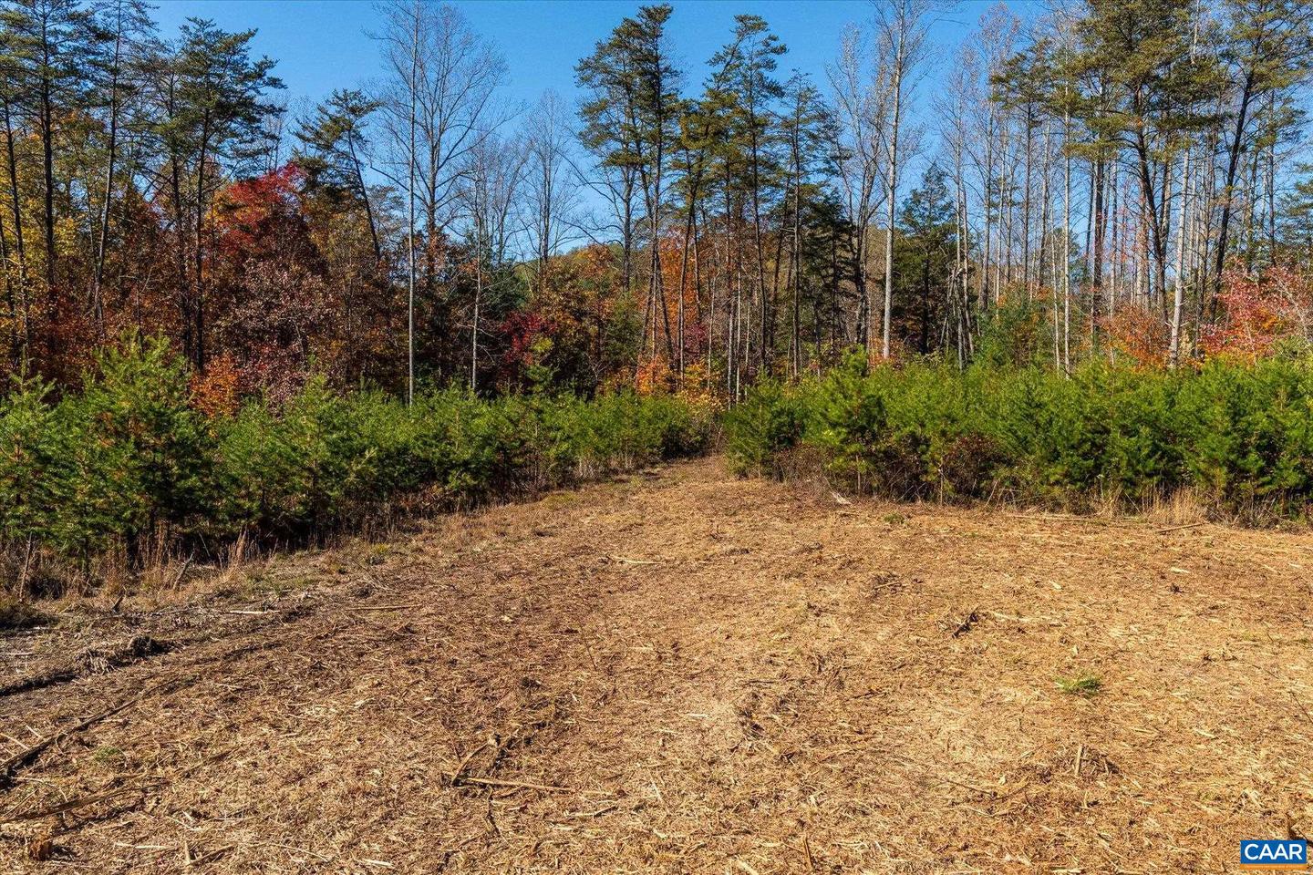 6424 FREE UNION RD, FREE UNION, Virginia 22940, ,Land,For Sale,6424 FREE UNION RD,671320 MLS # 671320