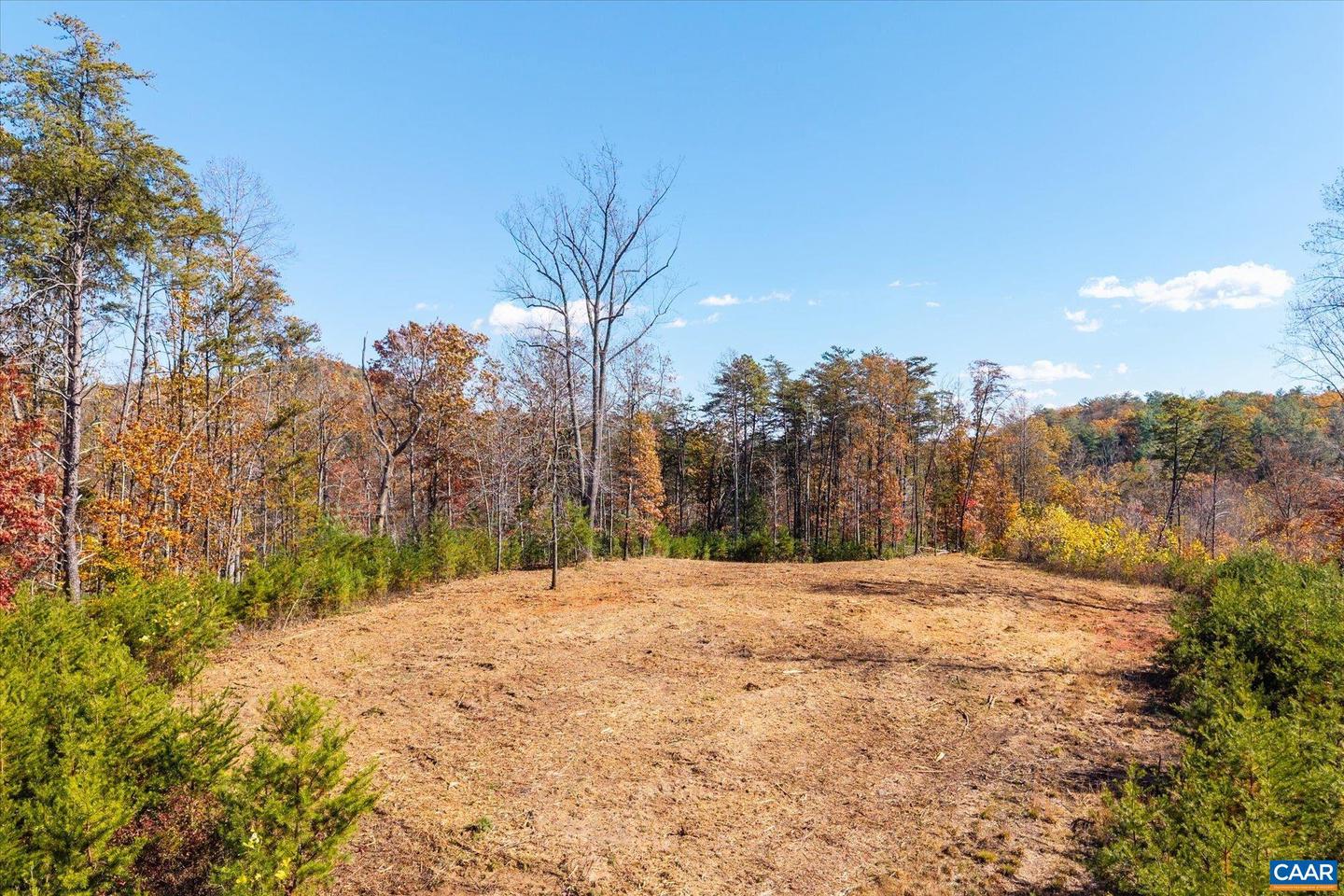 6424 FREE UNION RD, FREE UNION, Virginia 22940, ,Land,For Sale,6424 FREE UNION RD,671320 MLS # 671320