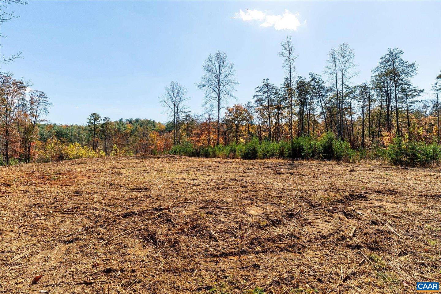 6424 FREE UNION RD, FREE UNION, Virginia 22940, ,Land,For Sale,6424 FREE UNION RD,671320 MLS # 671320