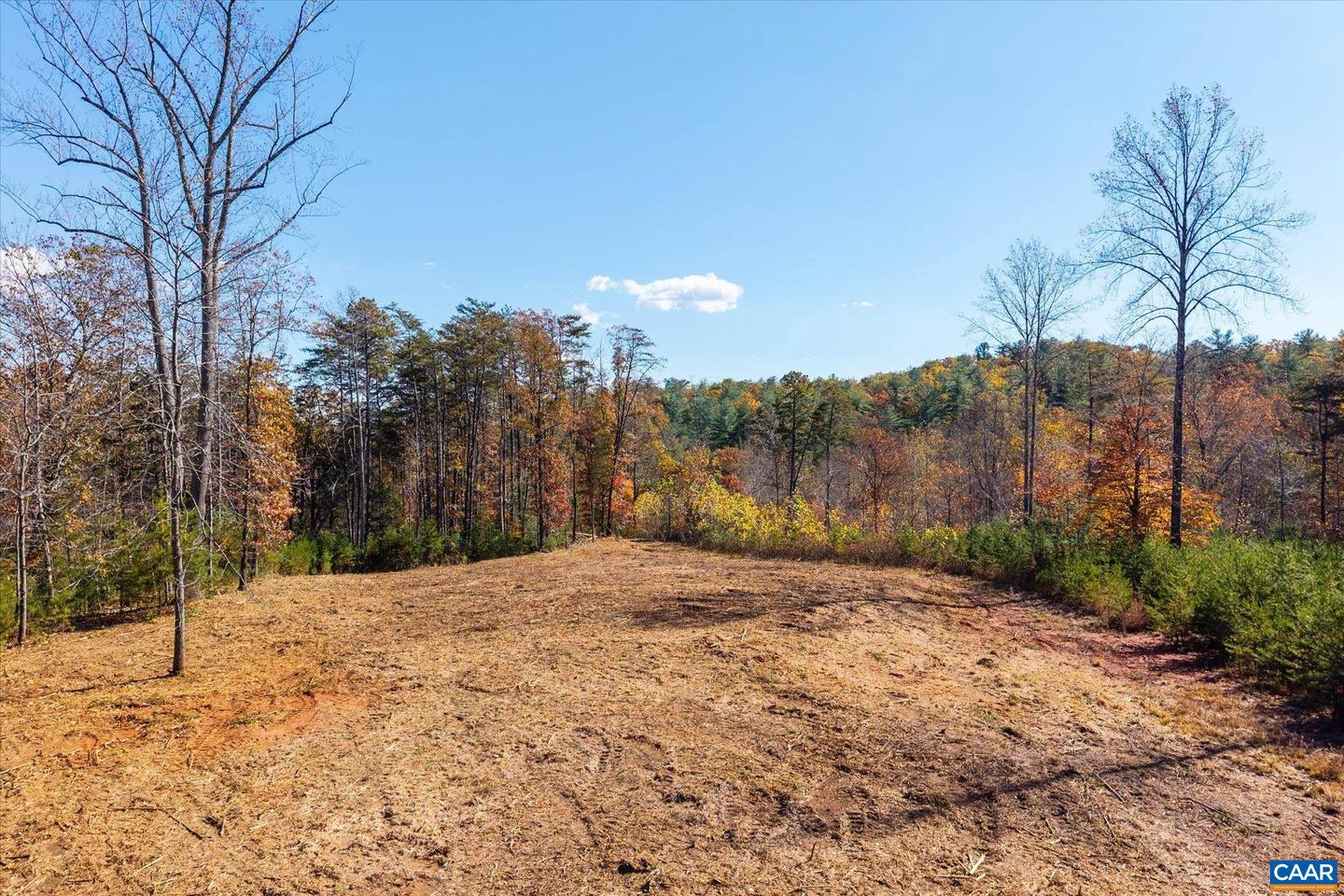 6424 FREE UNION RD, FREE UNION, Virginia 22940, ,Land,For Sale,6424 FREE UNION RD,671320 MLS # 671320