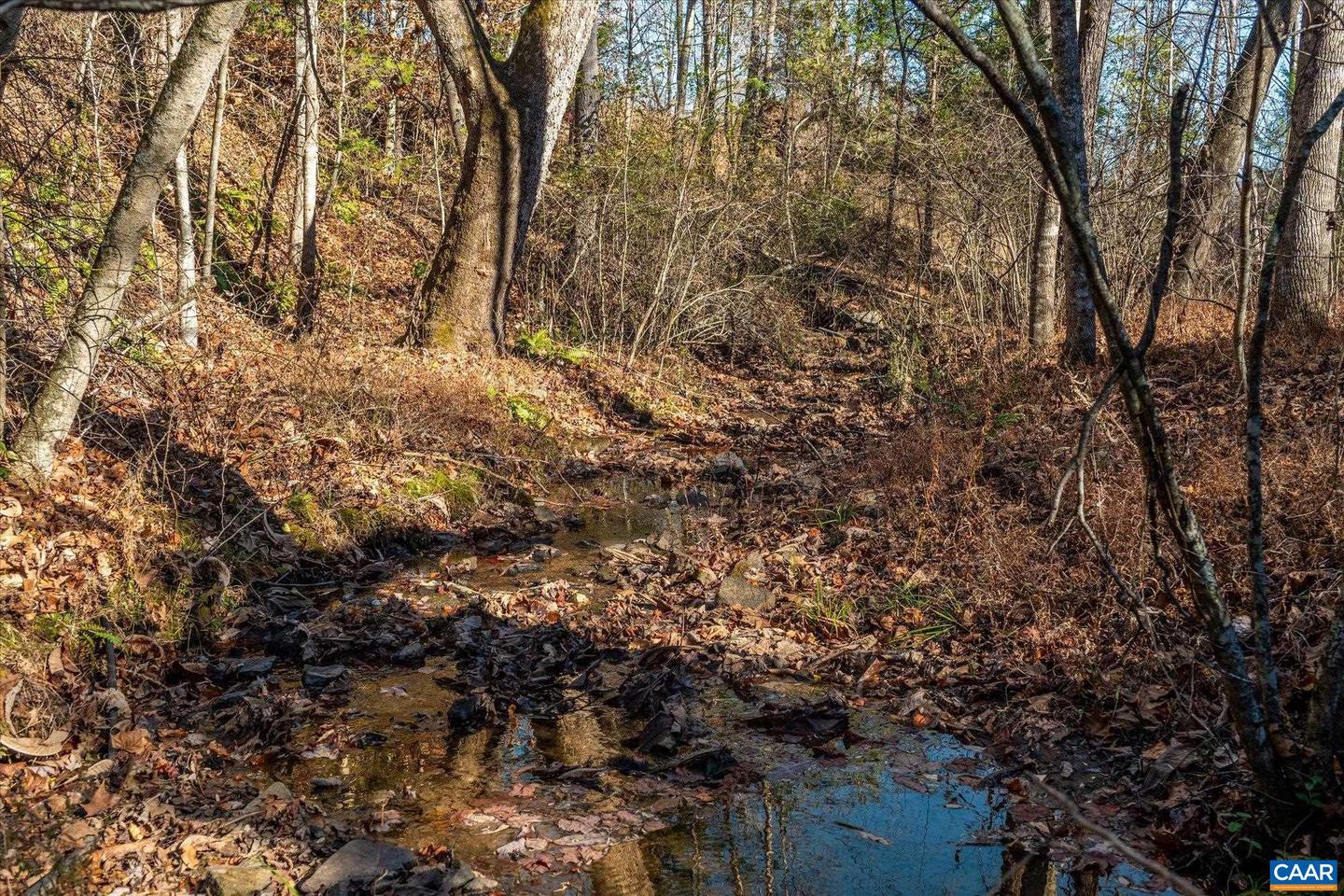 6424 FREE UNION RD, FREE UNION, Virginia 22940, ,Land,For Sale,6424 FREE UNION RD,671320 MLS # 671320