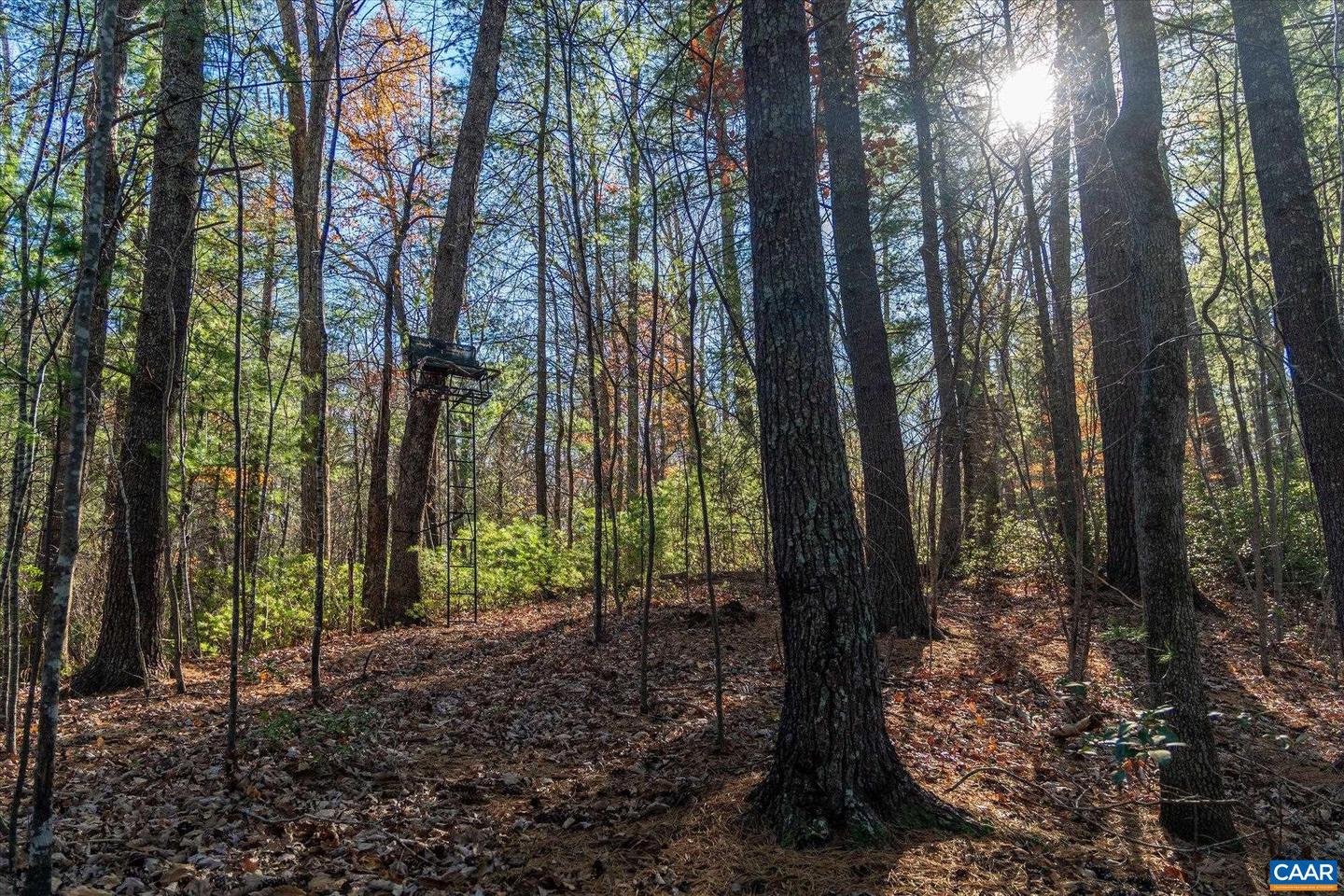 6424 FREE UNION RD, FREE UNION, Virginia 22940, ,Land,For Sale,6424 FREE UNION RD,671320 MLS # 671320