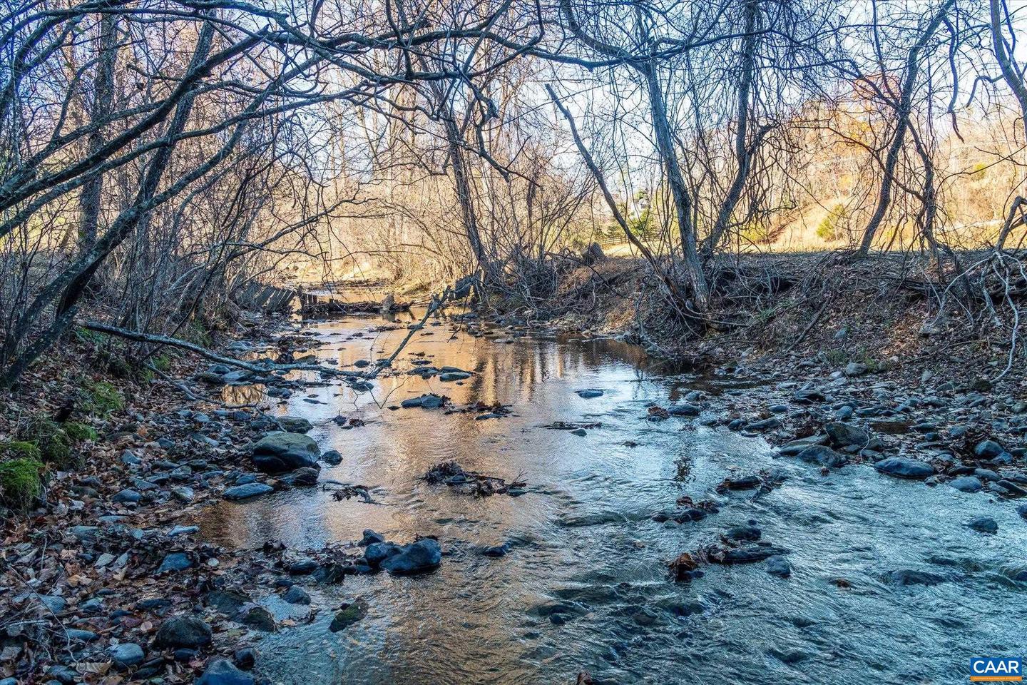 6424 FREE UNION RD, FREE UNION, Virginia 22940, ,Land,For Sale,6424 FREE UNION RD,671320 MLS # 671320