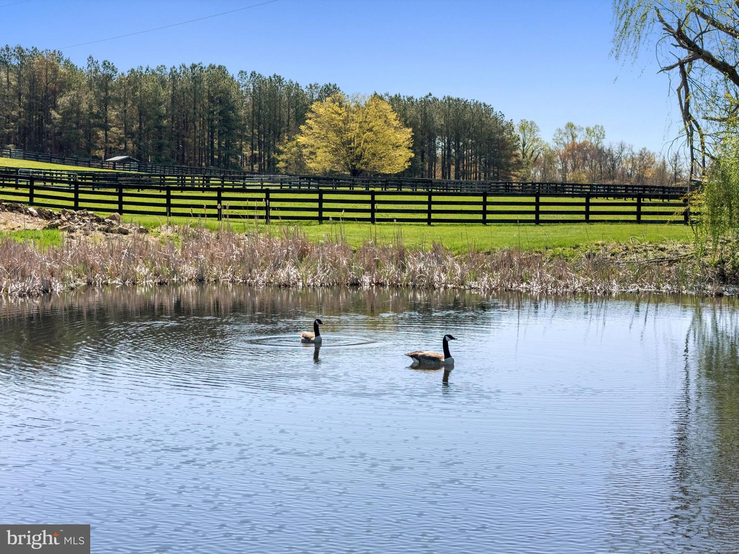 3252 WINCHESTER RD, DELAPLANE, Virginia 20144, 4 Bedrooms Bedrooms, ,5 BathroomsBathrooms,Residential,For Sale,3252 WINCHESTER RD,VAFQ2019664 MLS # VAFQ2019664