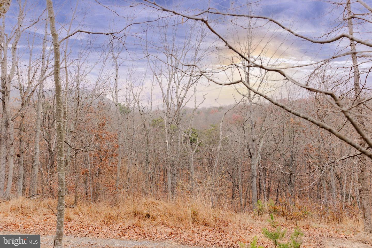 LOT 2 GALLOWAY SPRING LN, STANLEY, Virginia 22851, ,Land,For Sale,LOT 2 GALLOWAY SPRING LN,VAPA2005608 MLS # VAPA2005608