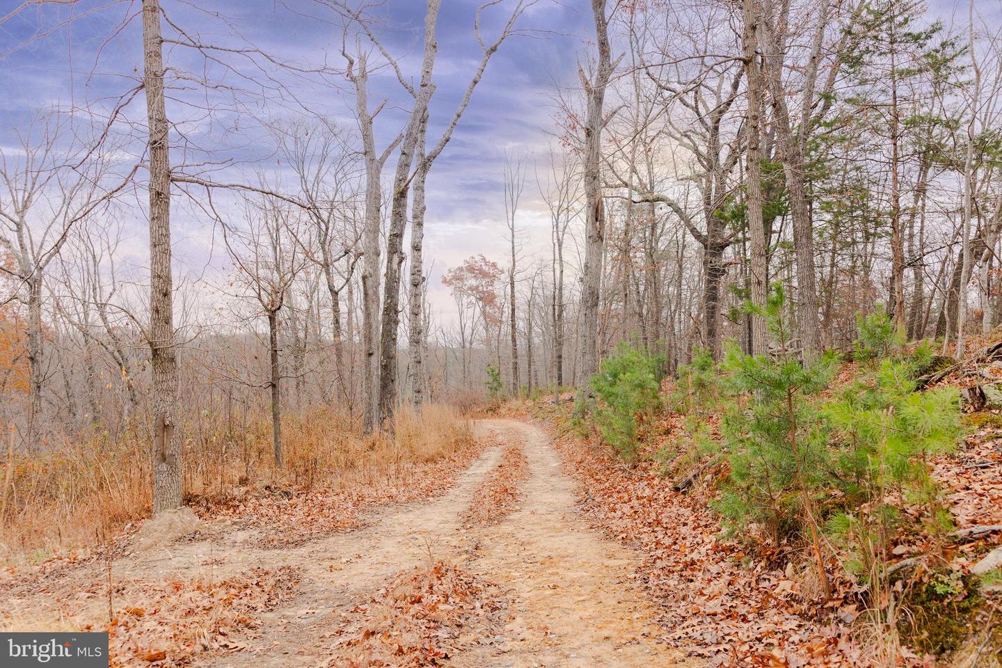 LOT 2 GALLOWAY SPRING LN, STANLEY, Virginia 22851, ,Land,For Sale,LOT 2 GALLOWAY SPRING LN,VAPA2005608 MLS # VAPA2005608