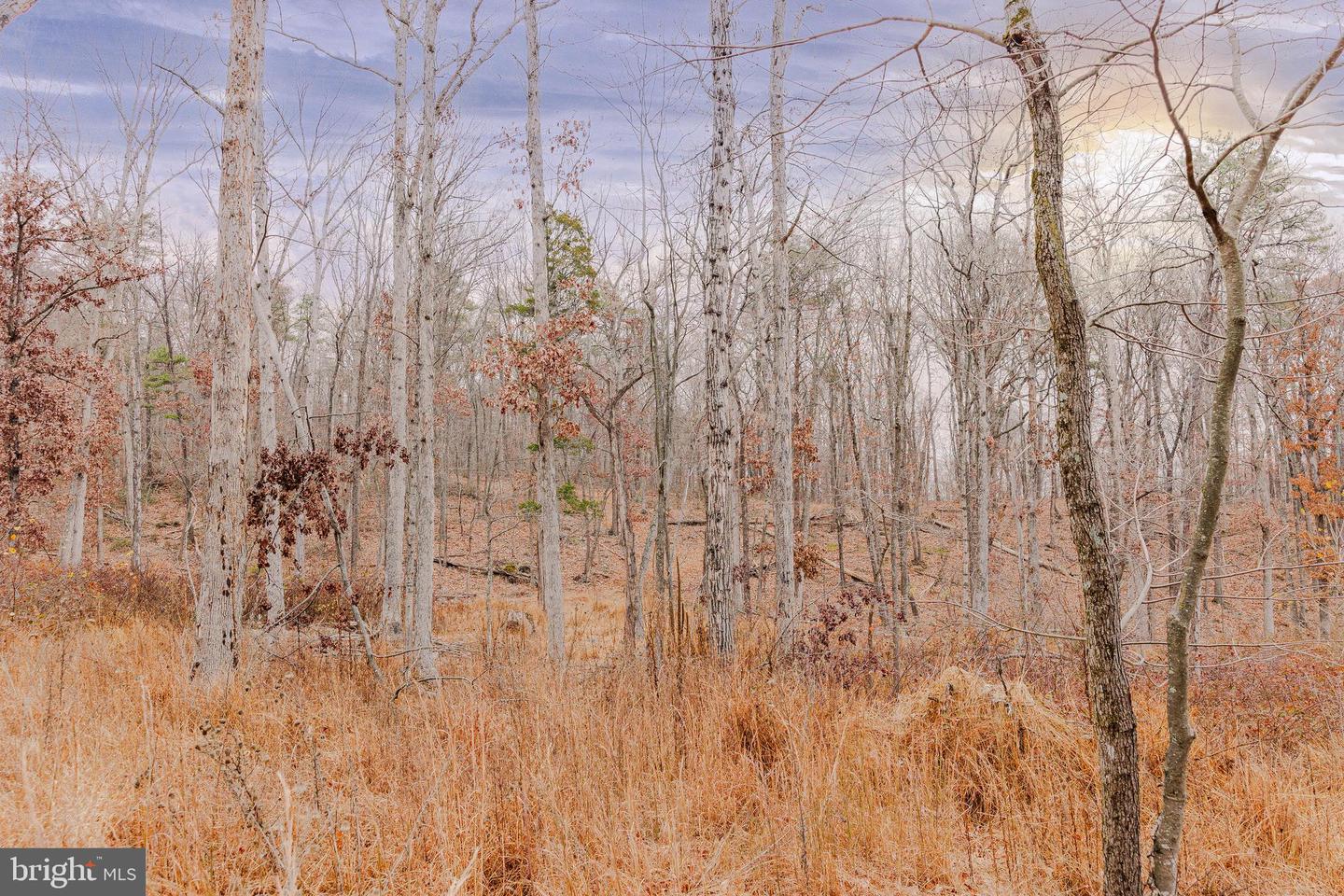 LOT 2 GALLOWAY SPRING LN, STANLEY, Virginia 22851, ,Land,For Sale,LOT 2 GALLOWAY SPRING LN,VAPA2005608 MLS # VAPA2005608