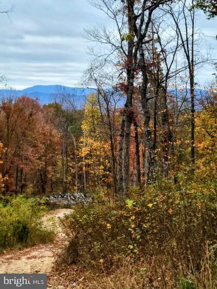 LOT 2 GALLOWAY SPRING LN, STANLEY, Virginia 22851, ,Land,For Sale,LOT 2 GALLOWAY SPRING LN,VAPA2005608 MLS # VAPA2005608